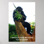 I Should Have Brought You Flowers posters