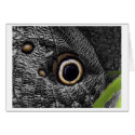i sleep cards by blacqbook i sleep cards
