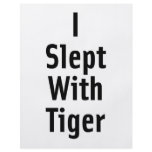 I Slept With Tiger Flyer