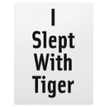 I Slept With Tiger Custom Letterhead