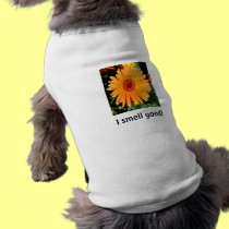 I smell good! pet clothing