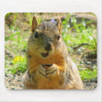 I Smile for Seeds & Sales mousepads