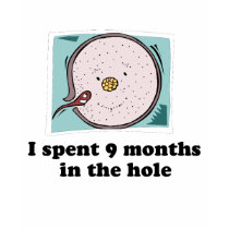 I spent 9 months in the hole baby t-shirt