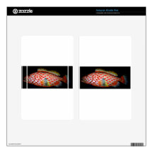 I Spotted This One.JPG Kindle Fire Skins