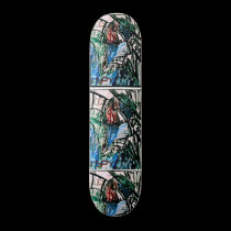I SPY skateboards