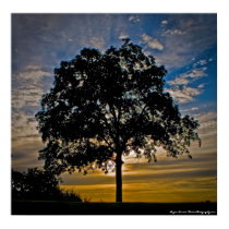 "I stand alone" - Photgraphic art poster Print NEW by sexyshirts2 "I stand alone" - Photgraphic art poster Print NEW