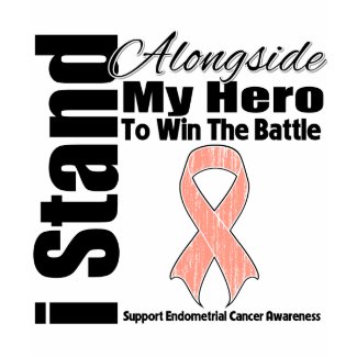I Stand Alongside My Hero Endometrial Cancer shirt