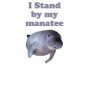 I Stand By My Manatee