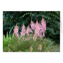 I stand with you - pink astible greeting card