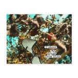 (I steal my drugs from kids) Postcard