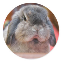I strongly disapprove (sticker)
