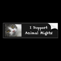 I Support Animal Rights Bumpersticker bumper stickers