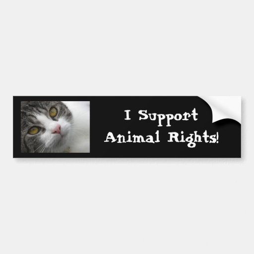 i-support-animal-rights-bumpersticker-bumper-sticker-zazzle