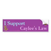 I support caylee's law bumper stickers