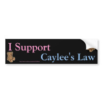 I support caylee's law bumper stickers
