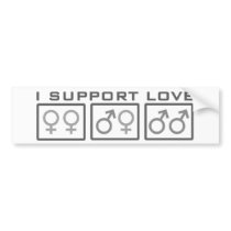 I Support Love Bumper Stickers