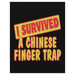 I SURVIVED A CHINESE FINGER TRAP FLYERS