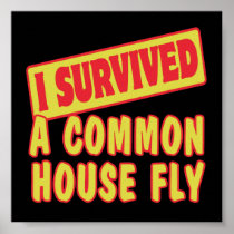 I SURVIVED A COMMON HOUSEFLY POSTERS