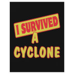 I SURVIVED A CYCLONE FULL COLOR FLYER