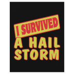 I SURVIVED A HAIL STORM FULL COLOR FLYER