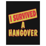 I SURVIVED A HANGOVER FLYER