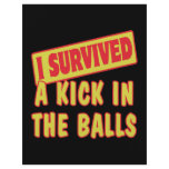 I SURVIVED A KICK IN THE BALLS FLYERS