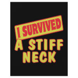 I SURVIVED A STIFF NECK FLYER
