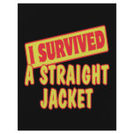 I SURVIVED A STRAIGHT JACKET CUSTOM FLYER