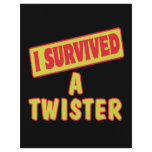 I SURVIVED A TWISTER flyers