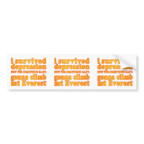 I Survived Depression - Now Gonna Climb Mt Everest Bumper Stickers