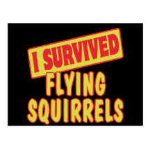 I SURVIVED FLYING SQUIRRELS POST CARDS