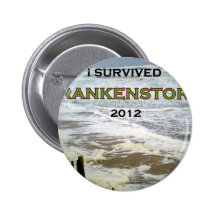 I SURVIVED FRANKENSTORM 2012 PIN