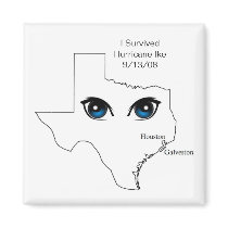 I Survived Hurricane Ike Magnet