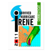 I Survived Hurricane Irene Connecticut Postcard postcards