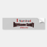 I Survived Hurricane Sandy Bumper Sticker