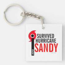 I Survived Hurricane Sandy Keychain key chains