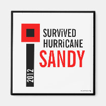 I Survived Hurricane Sandy Magnet 3 magnets