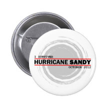 I Survived Hurricane Sandy Pinback Button