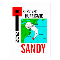 I Survived Hurricane Sandy Postcard 1 postcards