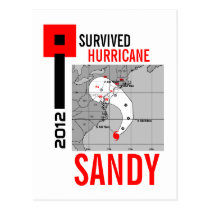 I Survived Hurricane Sandy Postcard 3 postcards