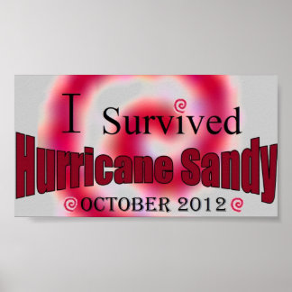  - i_survived_hurricane_sandy_poster-rb297501cdbd6439cb818efb3a7ef32c4_8dtut_8byvr_324