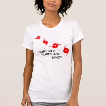I SURVIVED  HURRICANE SANDY TEE SHIRT