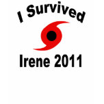 hurricane, irene, weather, eye, 2011, florida,