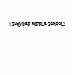 Kids Ringer T-Shirt