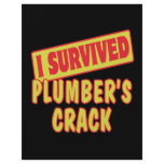 I SURVIVED PLUMBERS CRACK flyers