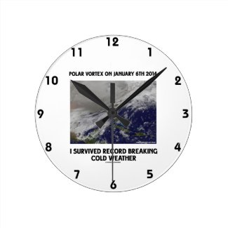 I Survived Record Breaking Cold Weather Wall Clocks