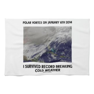 I Survived Record Breaking Cold Weather Kitchen Towel