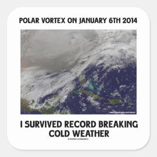 I Survived Record Breaking Cold Weather Stickers