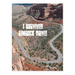 I Survived Rimrock Drive! Postcard