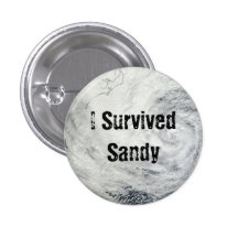 I Survived Sandy Button